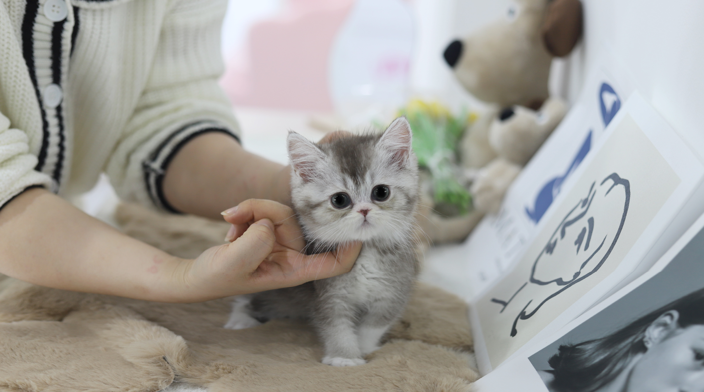 브리티쉬 공주님(20만원부터)